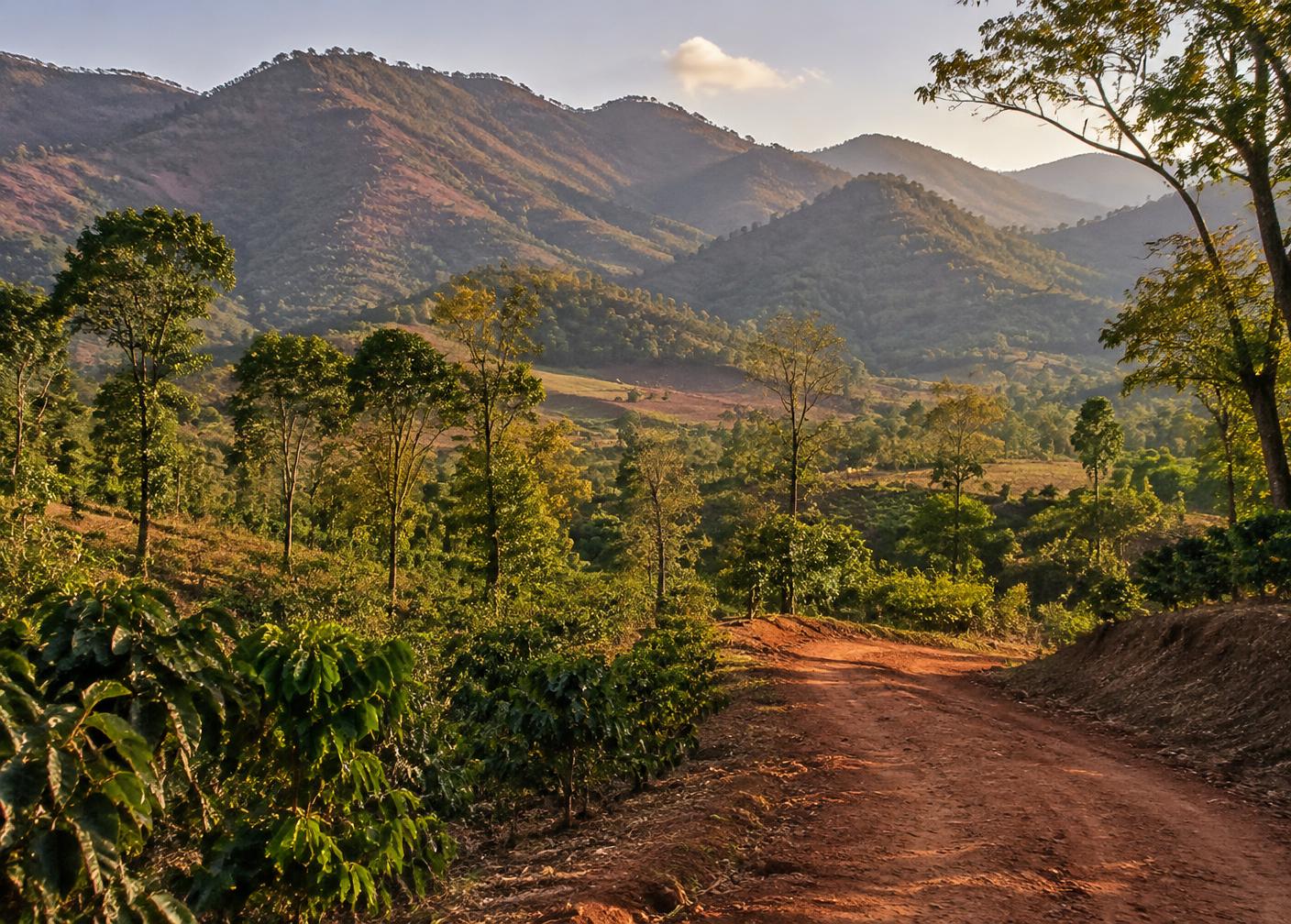 Eastern Ghats hills in golden light